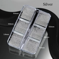 Scatola a 6 scomparti con micro sfere d'argento per nail art da 0.6mm, 0.8mm e 1.0mm - 6-Griglie Sfere in Acciaio Argento