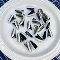 Creative sunflower seed hair clips with realistic black and white stripes design - Sunflower Seeds (Black Clip)