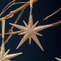 Nordic gold star Christmas ornament with glitter finish hanging on a rustic branch - Champagne Explosion Glitter Pendant
