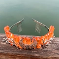 Orange crystal crown with silver moon and branch accents on a metal headband - Orange