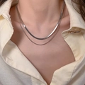 Double-layered silver titanium snake chain necklace with a minimalist layered aesthetic - Double Layer Snake Chain (A185)