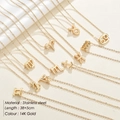 Collane con ciondolo a 12 segni zodiacali in acciaio inossidabile placcato oro 14K da donna - Set Completo Segni Zodiacali