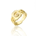Macro shot of 18K gold-plated adjustable ring featuring letter G design with AAA zircons - Letter G