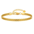 Elegant gold mesh chain bracelet for women featuring a lobster clasp and extension chain - Gold-Width 4mm Length 16+3cm