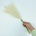 Faux pampas grass bouquet with creamy white plumes and stems in boho style, 55cm length - 53-55cm / Off-white
