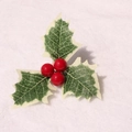 Künstliche Weihnachts-Stechpalmenblätter mit roten Beeren auf weißem Plüsch - Kleine rote Beeren mit zweifarbigen grünen Blättern