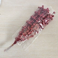 Steli di bacche rosse scintillanti per decorazioni natalizie e composizioni floreali - Rosso