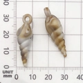 Ciondolo a conchiglia in resina beige da 35 mm visualizzato su una scala graduata - 1 Pezzo Conchiglia in Acrilico 9x32mm