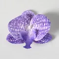 Testa di orchidea finta viola con petali realistici per fermagli capelli fai da te - Pellicola 3D Viola Retinato (Piccolo)