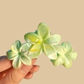Floral hair claw clip in pastel green and yellow marble finish with matte texture - 9cm Green (Marble Pattern)