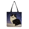 Stile Gatto in Notte Innevata (hm2868)