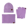Ensemble d'hiver 3 pièces avec bonnet, écharpe et gants tactiles en violet lavande - Mauve Clair