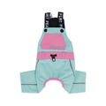 Mint green dog outdoor overall with pink accents and reflective safety strips - S / Mint Green