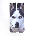 Husky