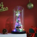 Close-up of lighted mini Christmas tree with gold star in a clear glass dome on black base - Style 3