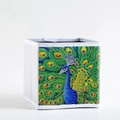 White folding storage box featuring colorful peacock DIY 5D diamond painting art - Style SNX-10