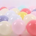 20pcs 10-inch thickened matte latex balloons in mixed macaron colors for party decoration - Macaron Mixed Colors