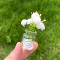 Glow-in-the-dark miniature star flower in glass bottle with Good Luck label - [Luminous] White Vase