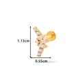 Gold stainless steel stud earring with curved clear cubic zirconia inlay and measurements - Fan Gemstone Cluster Style (0167-6#) / Gold