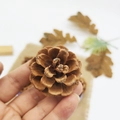 Natural dried brown pine cone ornament held by hand for Christmas tree decoration - Natural Color 4-5cm