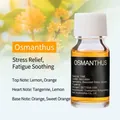Osmanthus scented essential oil in 10ml amber glass bottle for car fragrance - 10ml / Fragrans