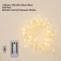 3M 100 LED warm white copper wire fairy lights with USB plug and 8-mode remote control - 3m 100LED Silver Wire USB Remote