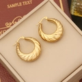 Macro detail of gold croissant hoop earrings with spiral texture in a jewelry box - Spiral Texture Retro Style (9#)