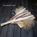 Nordic ceramic striped vase set No. 4 with dried pampas grass decor, 62cm height - Set No. 4