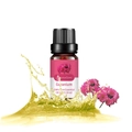 10ml pure Geranium Essential Oil in dark glass bottle with pink floral accents - Geranium (single Ingredient)