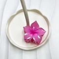 Pink gradient floral claw clip hair accessory placed on a white rippled tray - Pink (Flower)