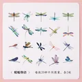 Dragonfly Story vintage watercolor PET stickers for scrapbooking 40 piece pack set - Dragonfly Story-40PCS