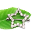 Dettaglio del piercing al capezzolo a forma di stella con strass su foglia verde - #10 Stella Argento