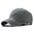 Adjustable Light Gray
