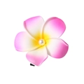 Pink and white gradient plumeria hair clip with pearl center for beach styling - Pearl Style / 8cm / Rose Red