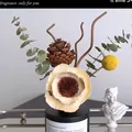 Black frosted diffuser bottle with dried sola flower, pine cone and eucalyptus leaves - Boundless Flower