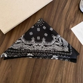 Dettaglio della trama in seta e motivi paisley sul foulard nero piegato a triangolo - Nero (Fascia-Nero)
