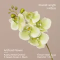 Green 5-head Phalaenopsis orchid artificial flower with 43cm stem for home decoration - 5 Heads/Single Branch / Green