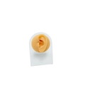 Flesh-toned silicone human ear model on acrylic display stand for piercing practice - Flesh Tone (Left Ear) With Stand