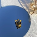 Mini pince à cheveux en acétate écaille de tortue avec logo France Handmade doré - Chat Léopard Foncé