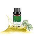 Cedar essential oil 10ml in amber glass bottle with fresh green needles and oil splash - Cedarwood (single Dose)