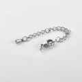 Detailed view of silver stainless steel extender chain with lobster clasp and drop pendant - Drop Tag / Silver