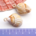 Natural spiral seashell pendant charms with golden loops for DIY jewelry making - Cream Acrylic Conch 19x31mm (17289)