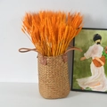 Cesto in erba marina intrecciata con grano essiccato arancione per decoro in stile nordico - Giallo Grande E Orzo