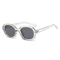 Retro oval sunglasses with transparent resin frame and dark gray lenses for men and women - Translucent Grey Frame Grey Lens