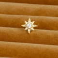 Gold plated star stud earring with sparkling zircon stone on luxury velvet background - Gold (Pave Octagram Star Y20412-7)