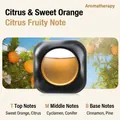 Car scent diffuser in black matte finish with orange citrus liquid and fresh fruit background - Green Mandarin & Orange [Citrus Fruity Scent]