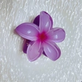 Pince à cheveux fleur de frangipanier dégradé violet en résine translucide - Violet foncé
