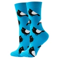 Blue mid-calf cotton socks featuring a cute black and white cartoon magpie pattern - Size 35-42 / Blue Bird