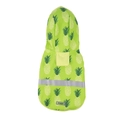 Waterproof fruit pineapple print dog raincoat in lime green with safety reflective strip - M / Pineapple Green