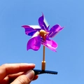 Détail d'une pince à cheveux moulin à vent laser violette sur fond de ciel bleu - 5 Feuilles/Irisé